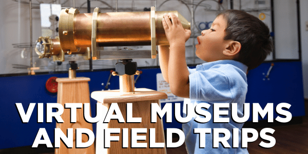 Virtual Museums and Field Trips